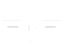 Das Bild zeigt das ikonische MINI-Logo mit dem charakteristischen Flügel-Design, das für sportliche Eleganz und Fahrvergnügen steht. Ideal für Autoenthusiasten und Markenliebhaber.